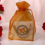 heart charm anklet in organza bag